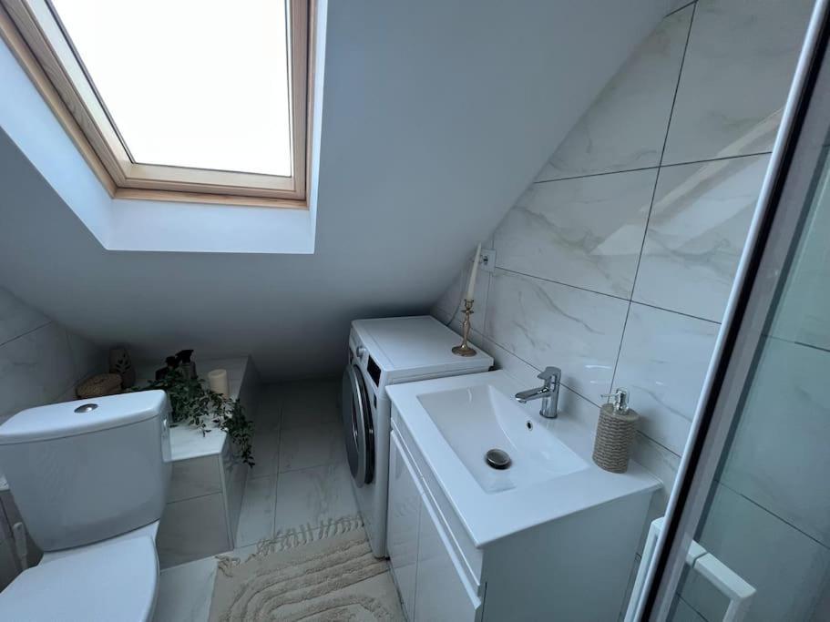 Vila Casa Mina Albeşti Exteriér fotografie
