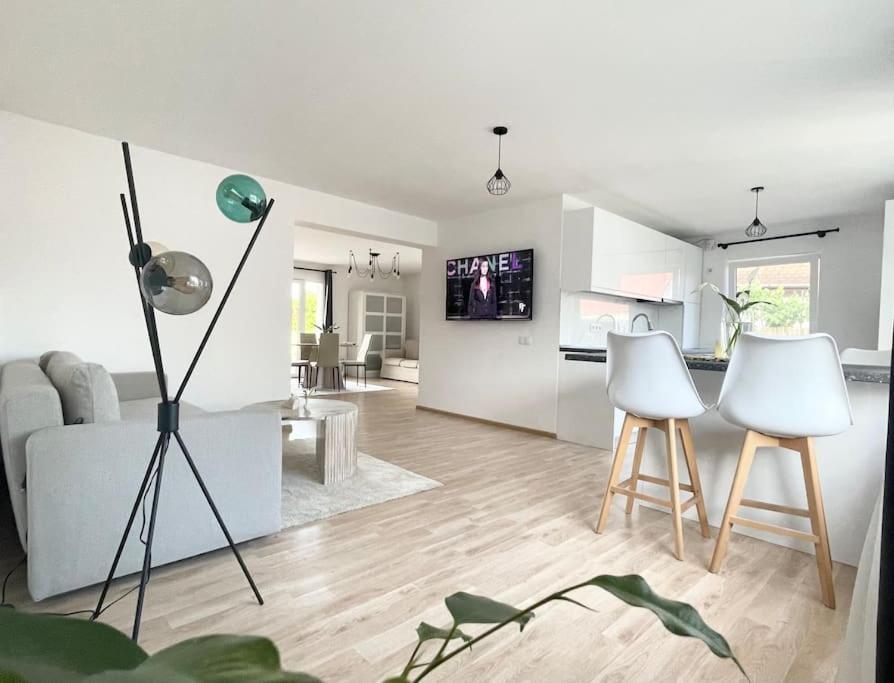 Vila Casa Mina Albeşti Exteriér fotografie