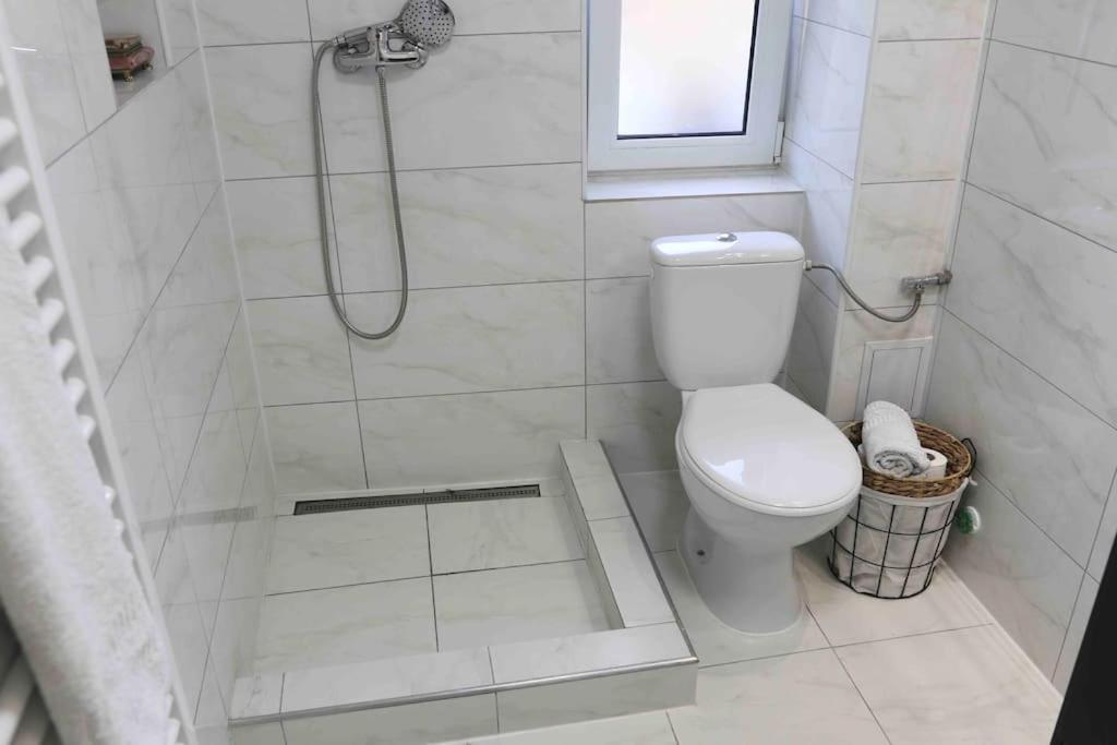 Vila Casa Mina Albeşti Exteriér fotografie