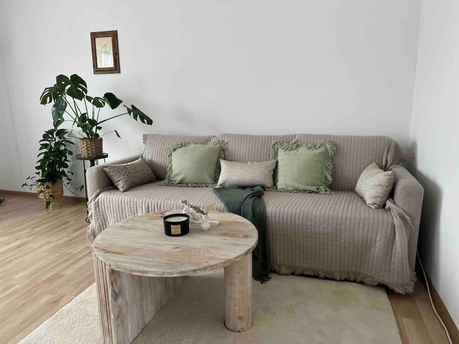 Vila Casa Mina Albeşti Exteriér fotografie